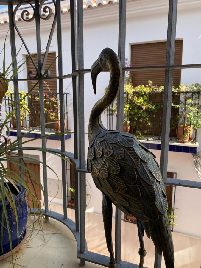 Club Costa Nerja Apartman Kültér fotó